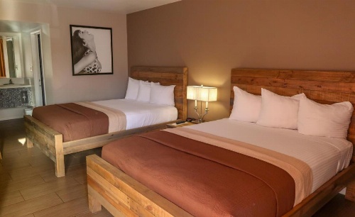 Thunderbird Hotel image 10